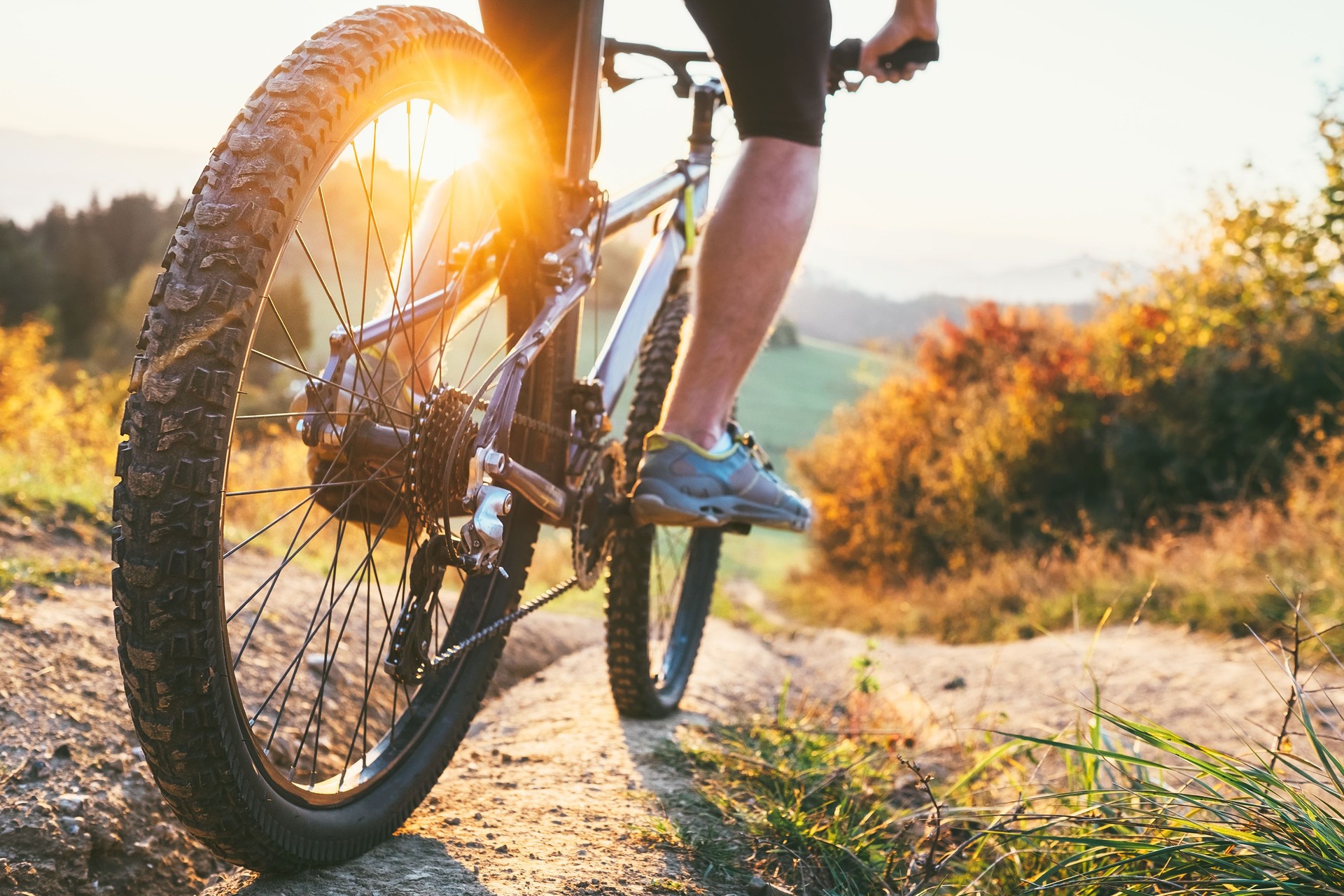 Mountain biker ride down from hill. Close up wheel image. Active and sport leisure concept